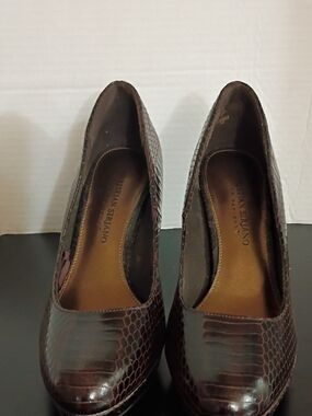 Christian Siriano Brown Croc-Embossed Women’s Pumps